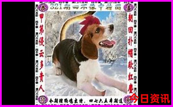 西安玩四天 旅游攻略推荐