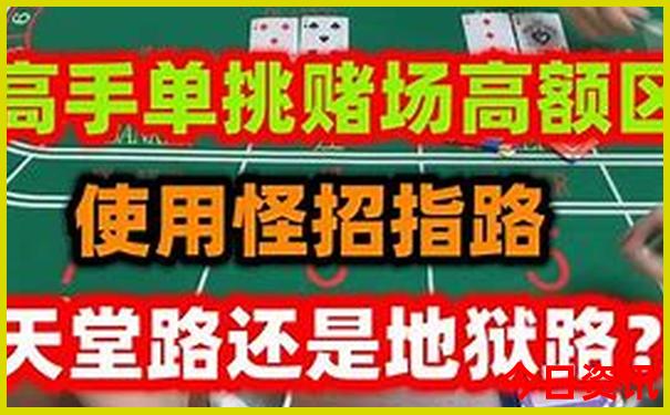 适合夏天玩的景点